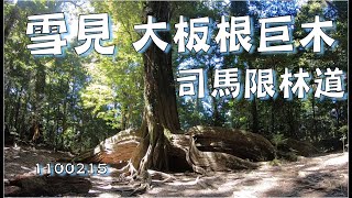 雪見北坑大板根一日遊 1100115 雪見大板根 雪見北坑大板根一日遊 1100115 雪見大板根