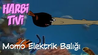Harbi Tivi - Memo Elektrik Balığı