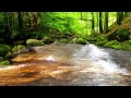 Relaxing Sounds of Water Stream 60mins (The Sounds of Nature)