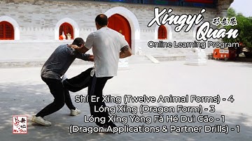 Xingyi Quan Glimpses #03 - Hua Jin Online Learning Program