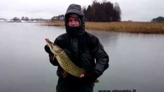 G.Loomis.lt / Winter Fishing for Pike