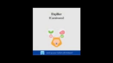 Learn Turkish with Airlearn, Download Now!    #airlearn #languagelearning #turkishlearning #learnlan