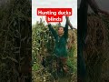 Wild duck hunting blind