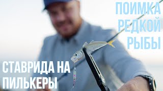 ROCKFISHING летом. Ловля СТАВРИДЫ на пилькеры и поимка редкой рыбы🎣