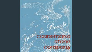 Watch Connemara Stone Company Wings Of A Gull video