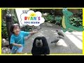 KIDS Trip to Rainforest with lots of Animals!!