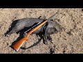 Caceria de Pecari de Collar con Rifle 22.L.R Marlin