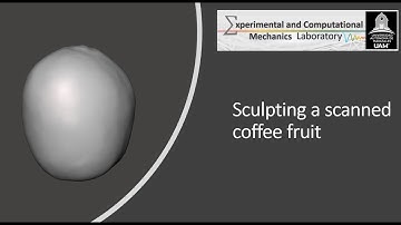 Meshmixer Tutorial | Sculpting a scanned coffee fruit
