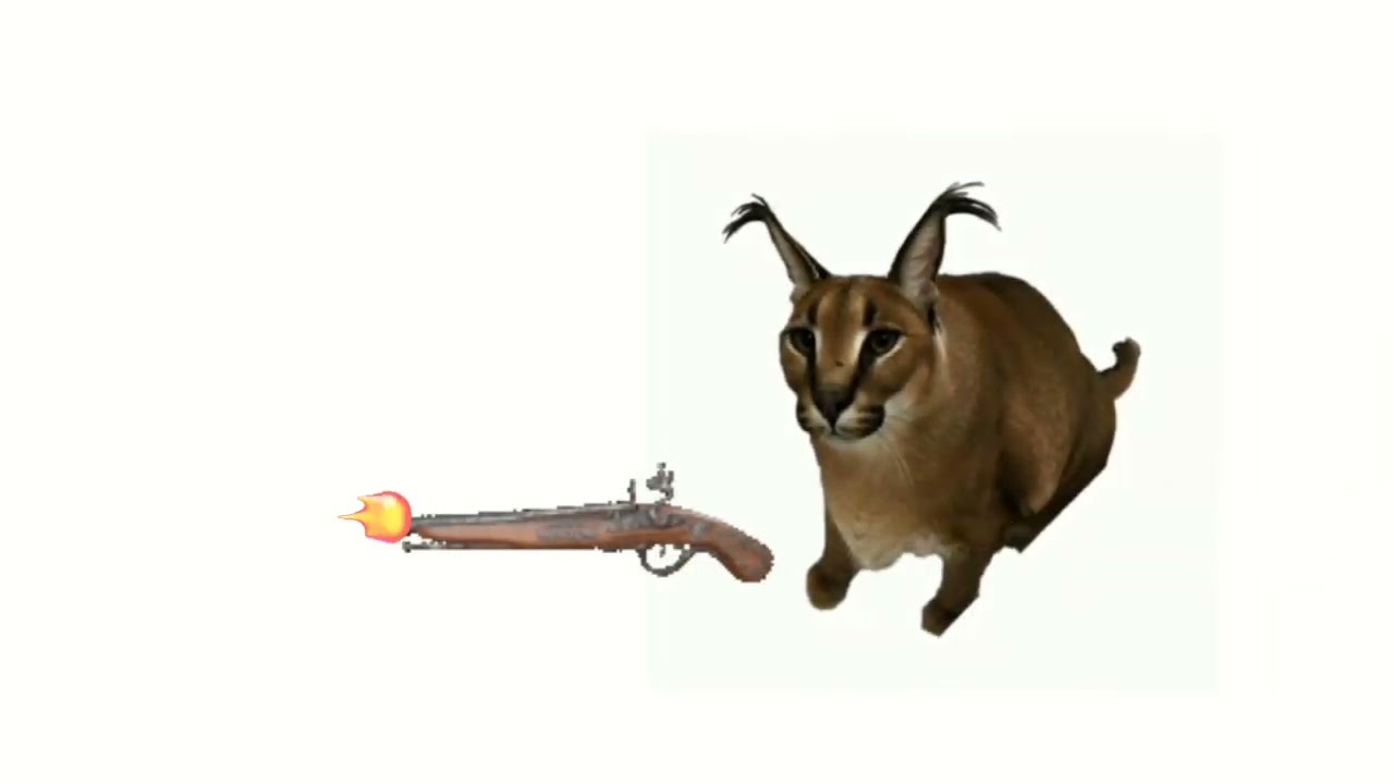 Sensei Floppa . . . . . . #ploob #floppa #floppafriday #caracal #caracalcat  #floppagang #memes #epicmemes #funny #flopfonohoe #ploobsday…