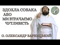 Здохла собака або Ми втрачаємо чутливість — о. Олександр Варницький