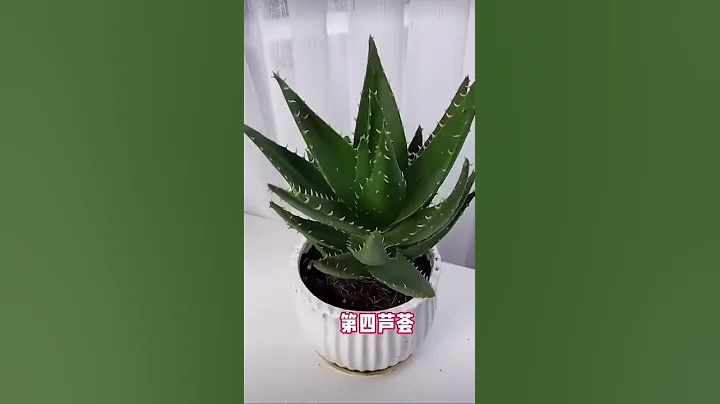 被你澆死的5五種花 - 天天要聞
