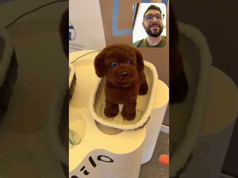 Video Ho accarezzato un #cane #robot