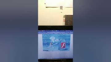 Adobe Flash Player не работает  Что делать?