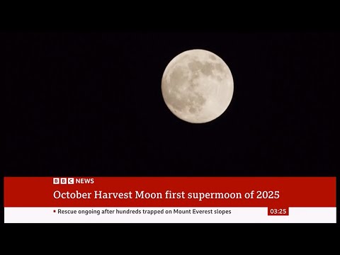 Full Harvest Moon 2025