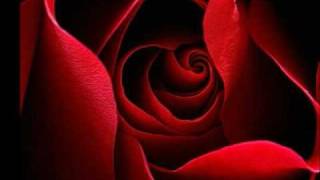 Mommagees Twilight Contest Esme Cullen