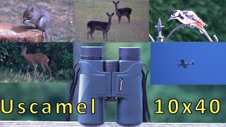 Uscamel 10x42 Compact Binocular - Great for Birds & Wildlife, Plane Spotting and Taking on Holiday!