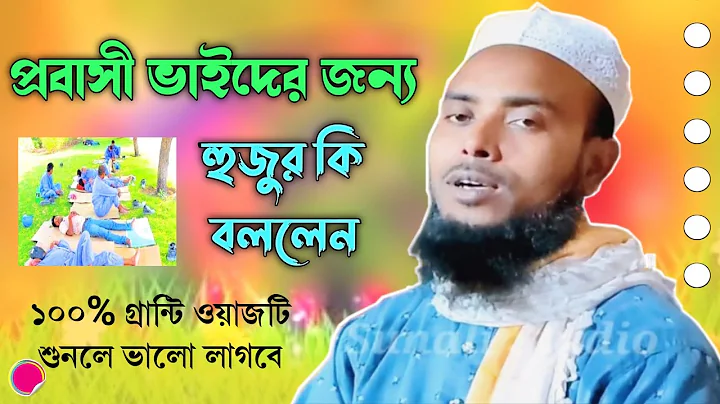 Maulana Anamul Haque  || Bangla New Waz || Sunali ...