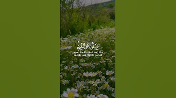 سعد الغامدي اجمل حالات واتس اب دينية سورة الأحزاب Saad Al Ghamidi