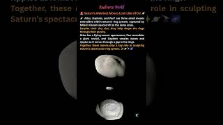 Saturn’s Weirdest Moons Look Like UFOs! #space #universe #spacefacts #astronomy #spacediscovery