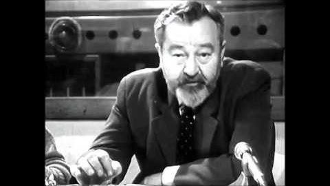 B-complex ft Jan Werich -  Past Lessons For The Future