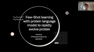 Rapid protein evolution by few-shot learning with a protein language model