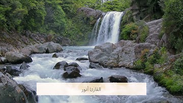 سورة فاطر بصوت القارئ أنور