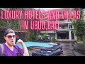 Luxury $120 Hotel VS $250 Villa in Ubud Bali