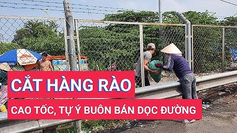 Xử lý người cắt hàng rào bảo vệ đường cao tốc để buôn bán