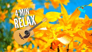 Morning Guitar Instrumental | Short | Positive Energy