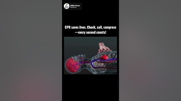 🫀CPR procedure Step by Step: Save a Life 🫀 #shorts