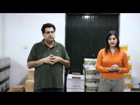 Yiannis Tselepos on