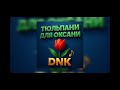 DNK Тюльпани для Оксани