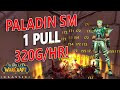WoW Classic - Paladin SM 1 Pull! Cath + Arm + Lib 11 Mins! 320g/Hr!