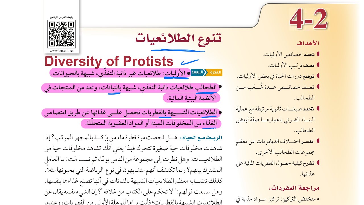 تنوع الطلائعيات (أحياء أول ثانوي 1446 )