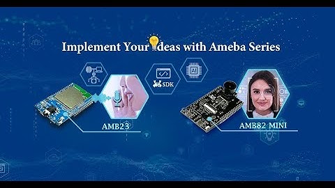 Introduction to Realtek AMB82-MINI