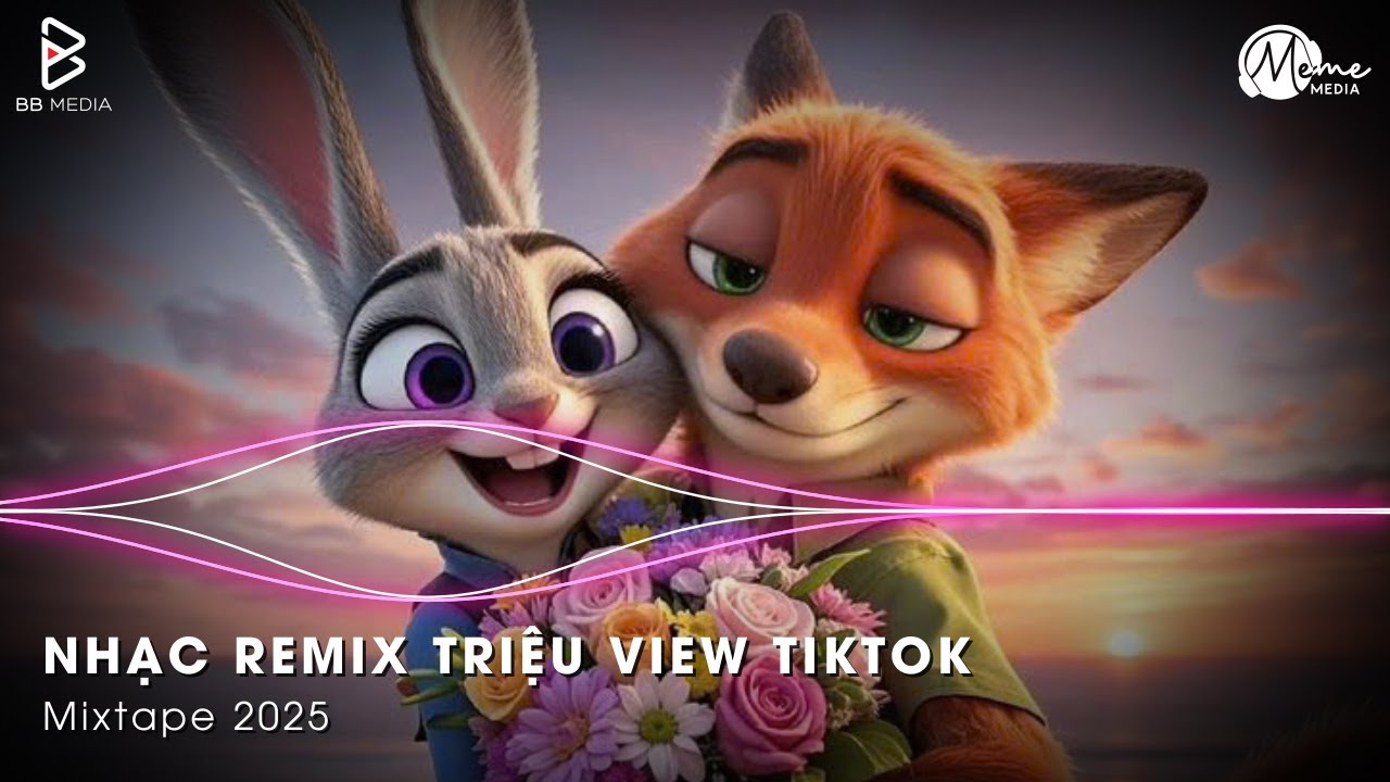 Mashup Remix Gây Bão TikTok - Sự Ưu Tiên Của Em , Họa Sĩ Tồi , Anh Đã Không Biết Cách Yêu Em