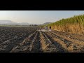 Cultivando caña de Azúcar en el estado de Morelos (Riego y aplicación de sellador)