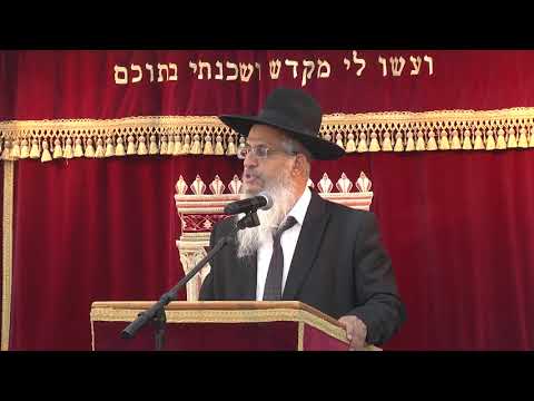 ארבע כיתות שאינן מקבלות פני שכינה | הרב יורם סרי