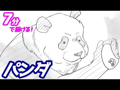 パンダの簡単イラストの描き方 ゆっくり解説 呪術廻戦 Youtube