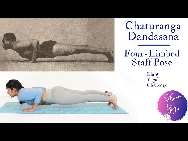 Chaturanga Dandasana - Yog Niketan Dham