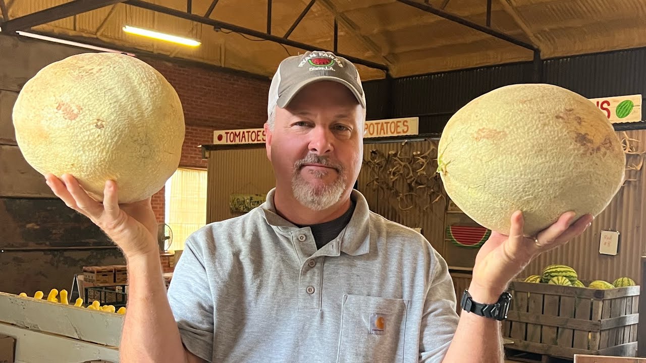 Truckloads of watermelons & giant cantaloupes