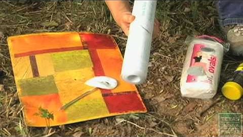 Habitat Field Survey Techniques