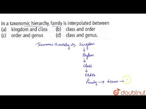 Wideo: W hierarchii taksonomicznej rodziny charakteryzują się?