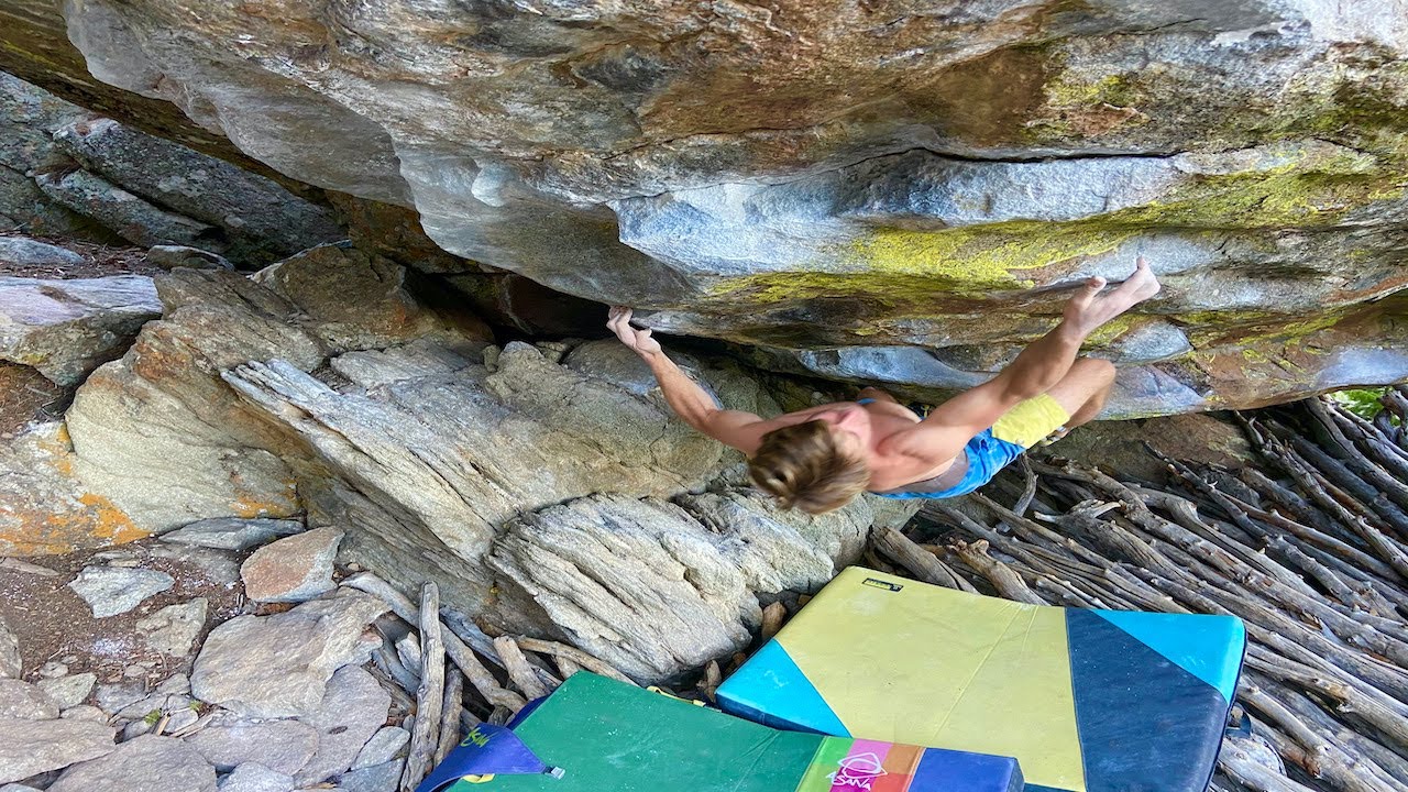 The Giving Tree (V10)