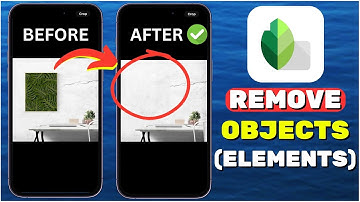 How To Remove Objects From a Photo Using Snapseed (2024)
