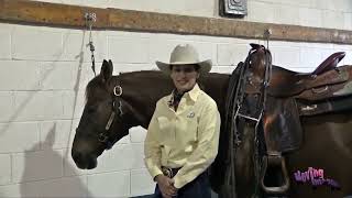 Safely and Correctly Bridling the Western Horse with Julie Goodnight