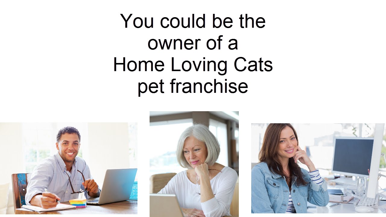 Pet Franchise Pet Sitting Franchise For Cat Sitters YouTube