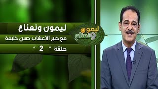 برنامج ليمون ونعناع الحلقة 2 مع خبير الاعشاب حسن خليفة .. قناة دجلة الفضائية