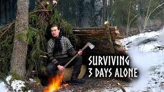 3 Days Building a Complete Shelter from Start to Finish: Winter Camping