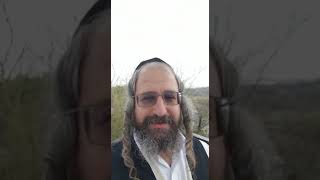 קדש ורחץ כרפס יחץ - ליל הסדר - ביידיש